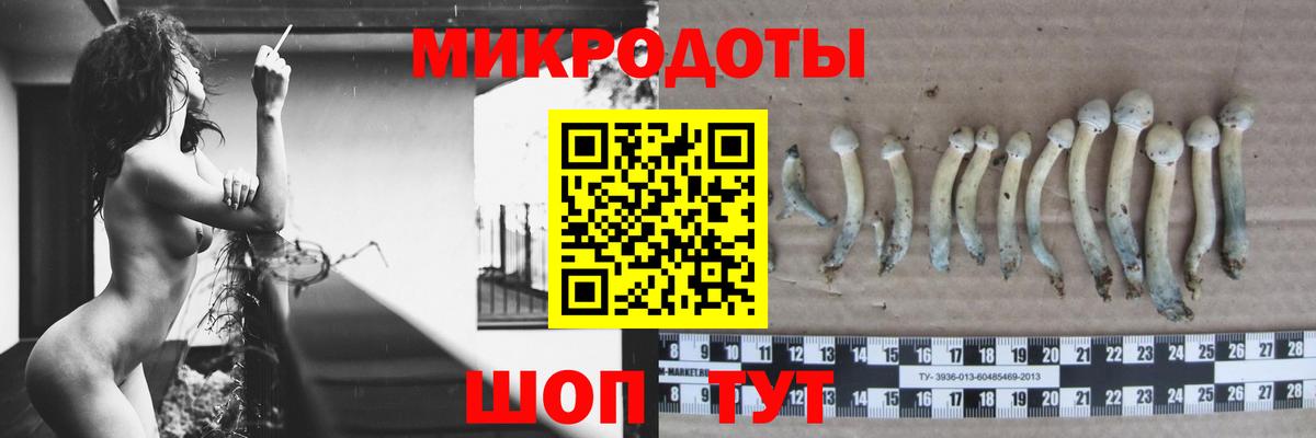 Псилоцибиновые грибы GOLDEN TEACHER Нефтекумск